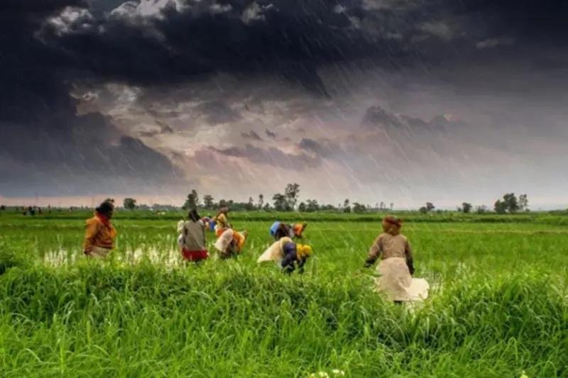 Tough Times Ahead El Nino Impact & Below-Normal Monsoon Prediction, Will This Affect Farmers and the Common Man Hard